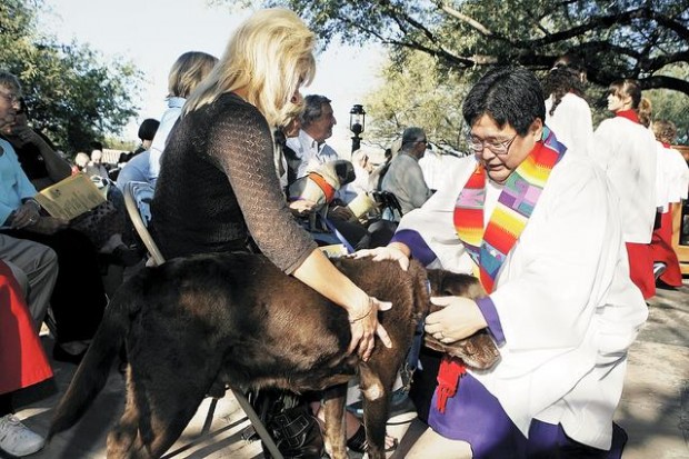 Bless the beasts — all of them  