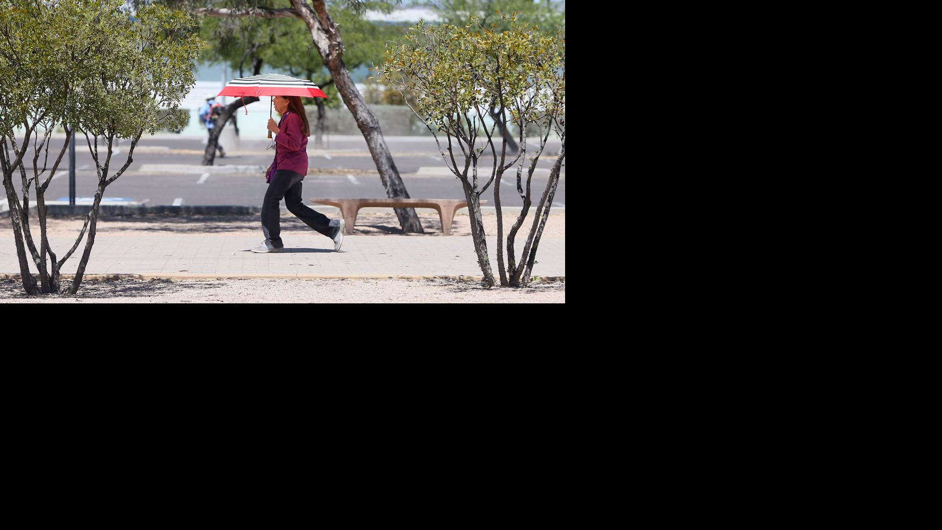Warmer Weather Could Slow Coronavirus But Don T Count On It