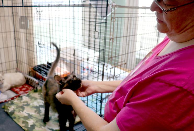 Buffalo County Humane Association