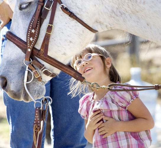Therapy Horse