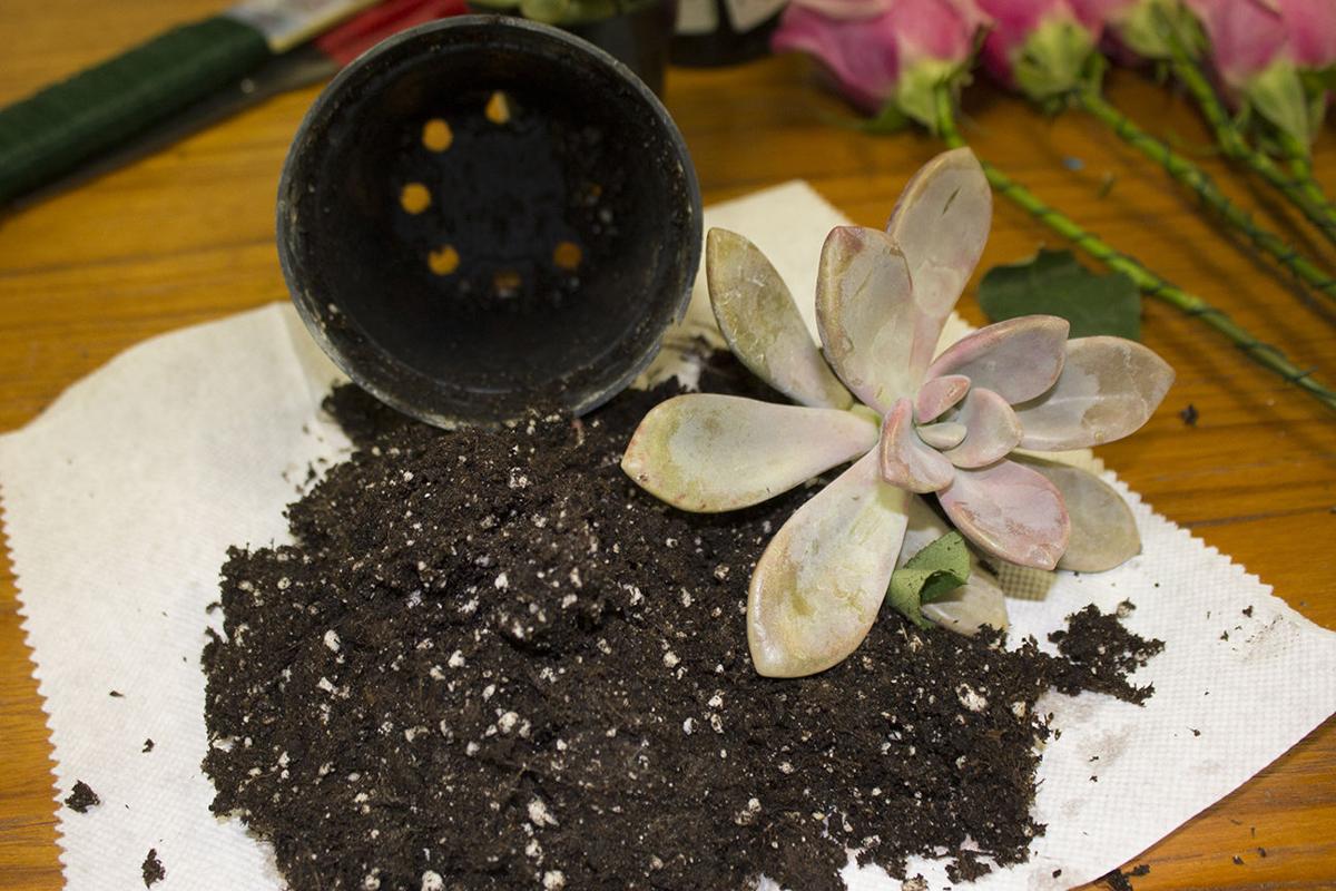 How to make a succulent wedding bouquet in 9 easy steps ...