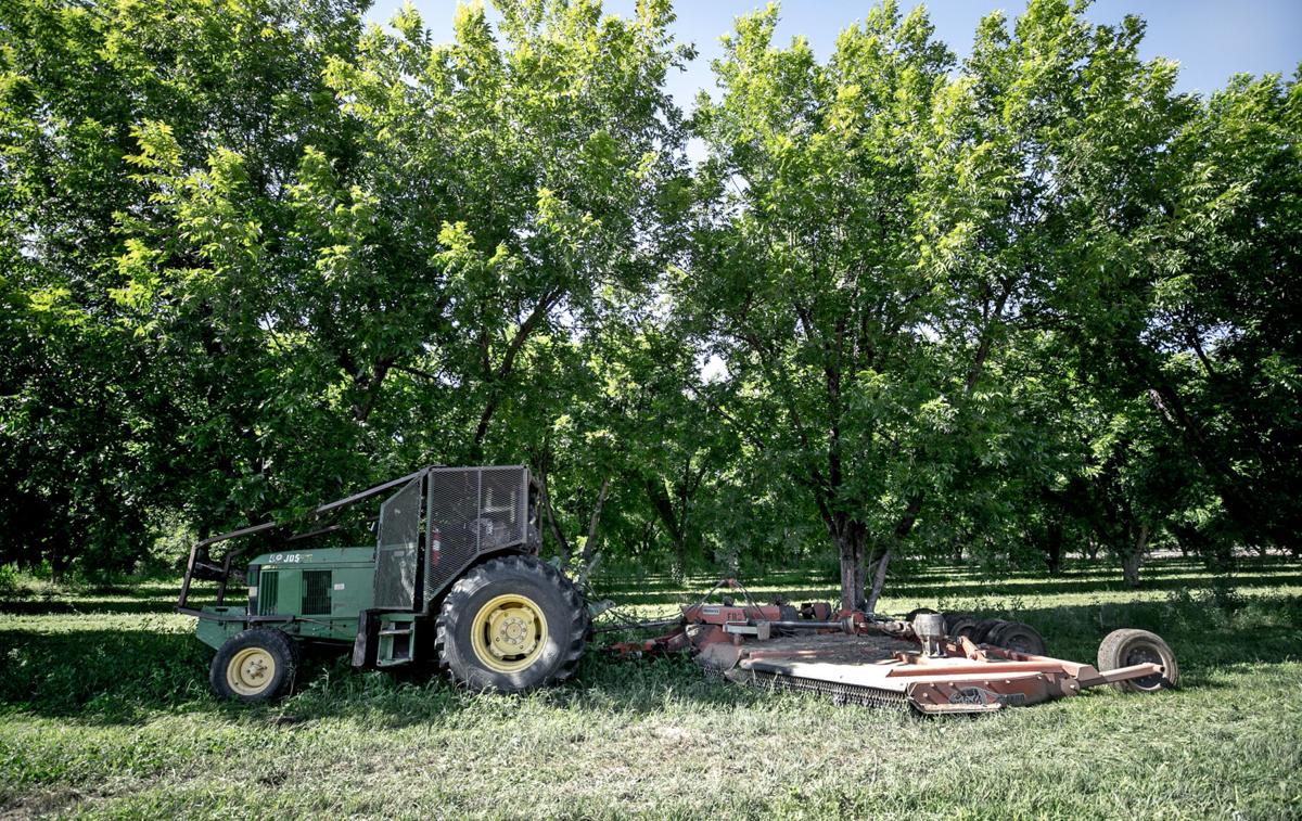 Green Valley Pecan Co., FICO