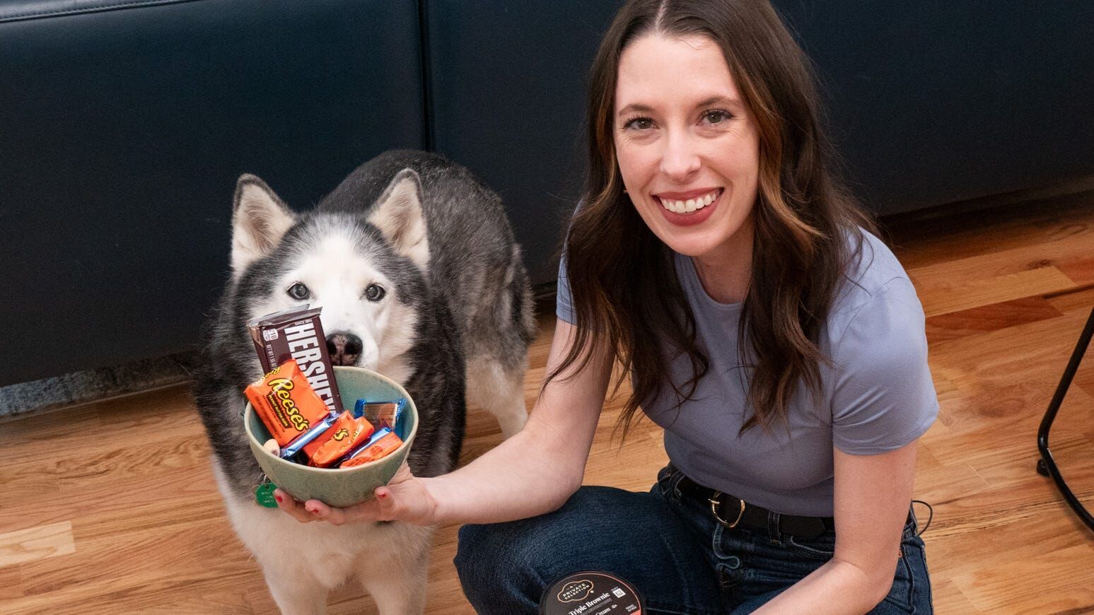 Dog ate chocolate? Here's a quick way to assess the risk