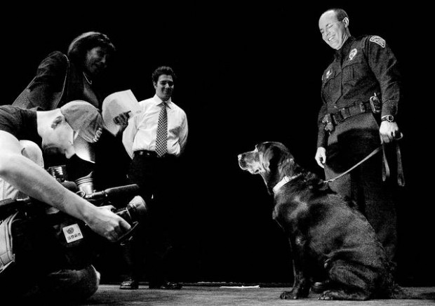 Bomb-dog handler is officer of the year  