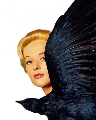 screening at Loft of 'The Birds'