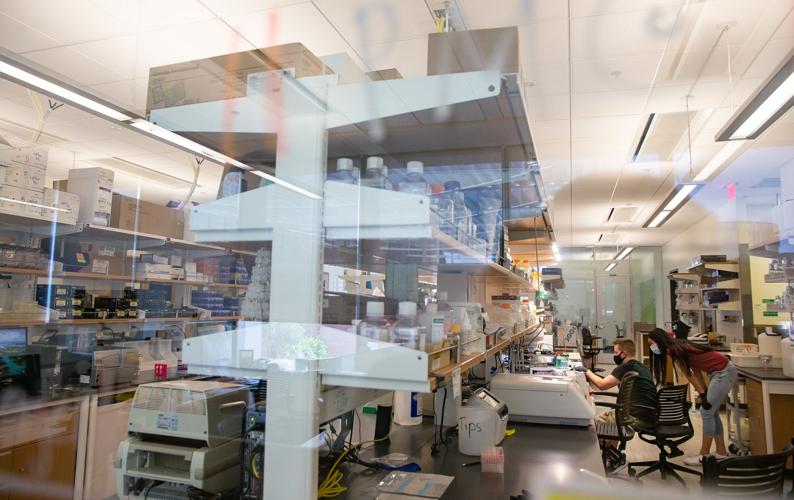 University of Arizona Bioscience