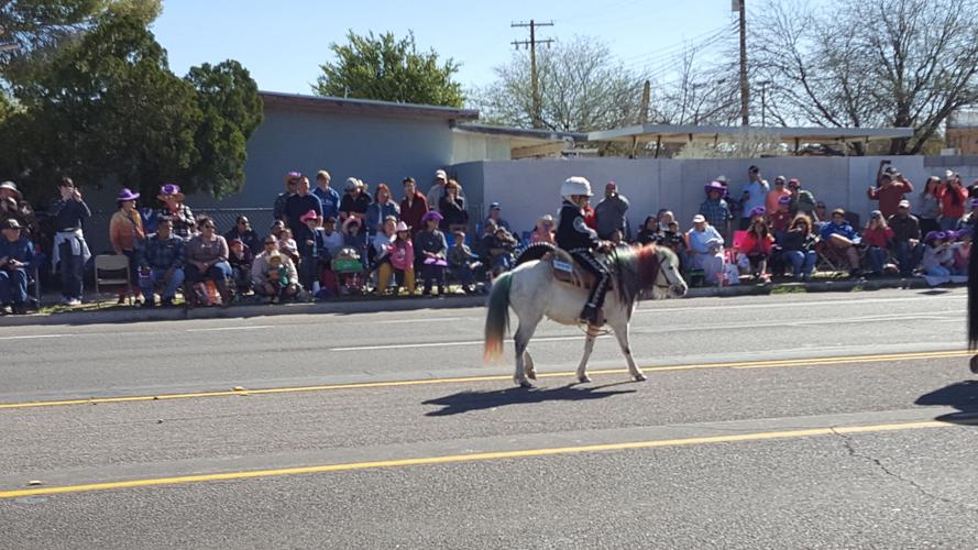 2017 Tucson Rodeo Parade entries