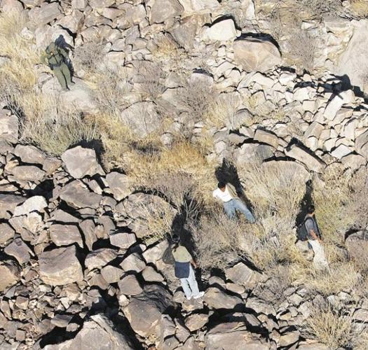 Bird's-eye border watch  