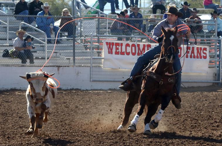 Tucson Rodeo action