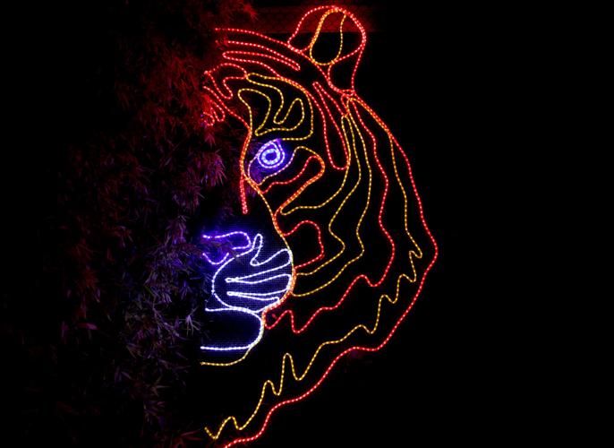 Zoo Lights