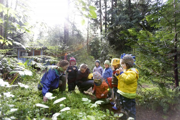 Classroom is 5-acre forest   