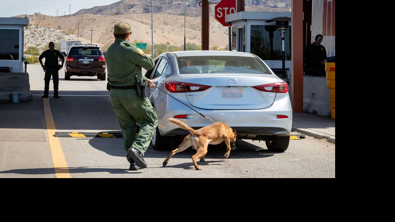 Border Patrol citing legal immigrants more often for ‘carry your papers’ violations