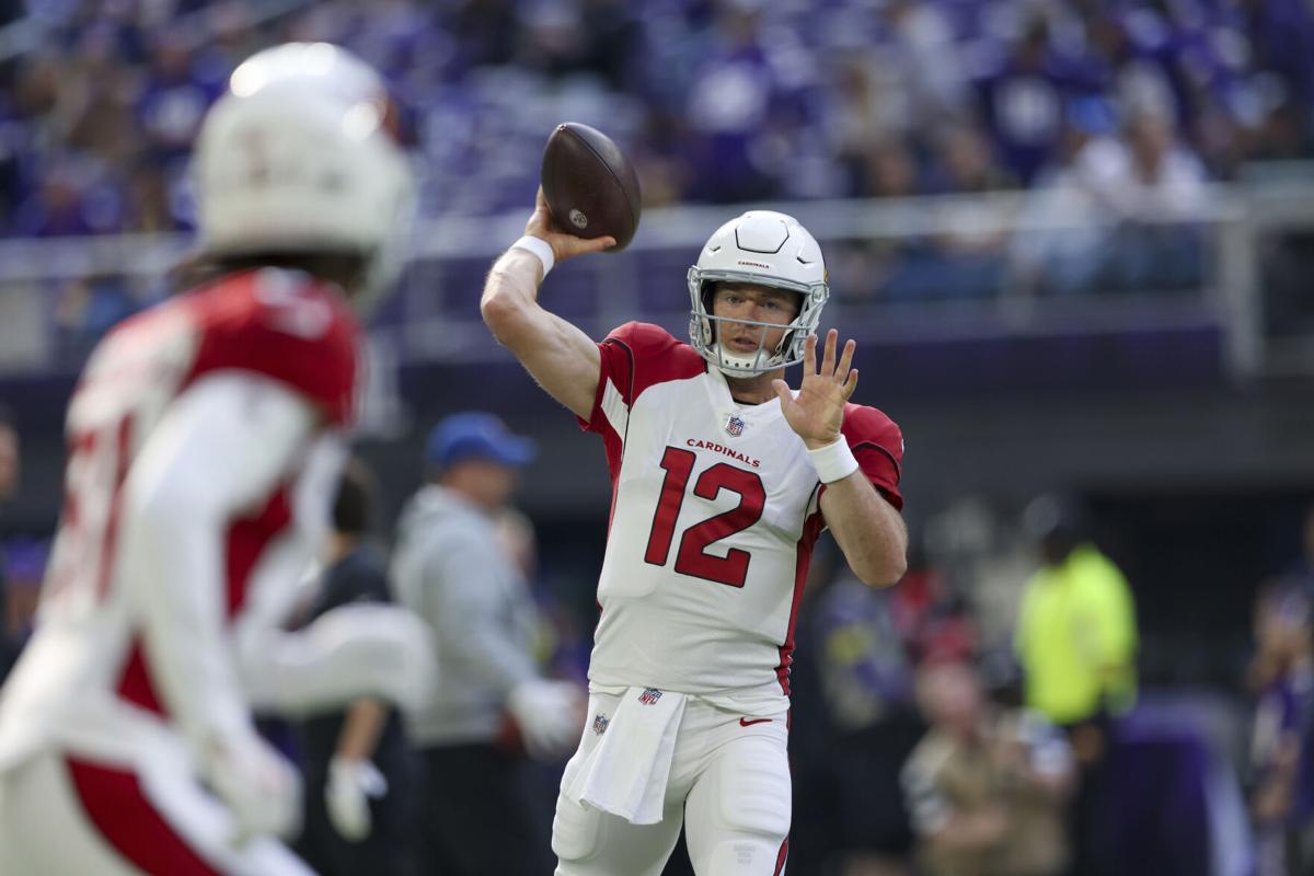 Cardinals Vikings Football