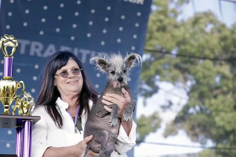 Tucson pooch named Scooter is crowned World's Ugliest Dog