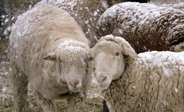 Snowfall around Tucson