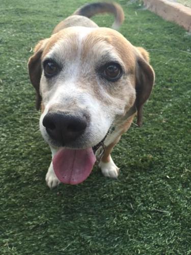 Happy National Dog Day!