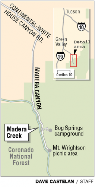 Madera Canyon: Trail shows off riparian habitat  