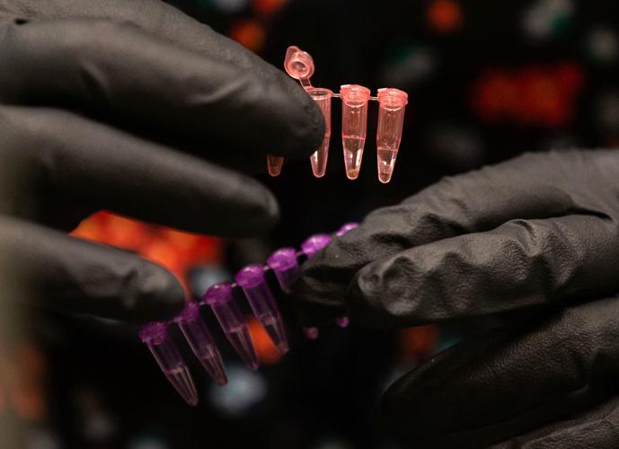 University of Arizona Bioscience