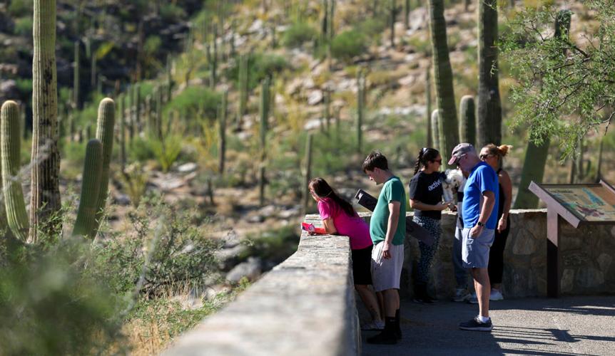Mount Lemmon