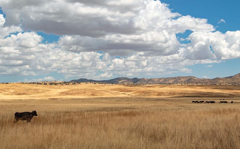 San Rafael Valley