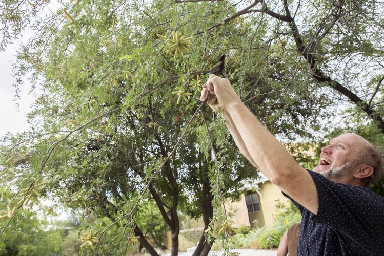 Sonora Cohousing Community