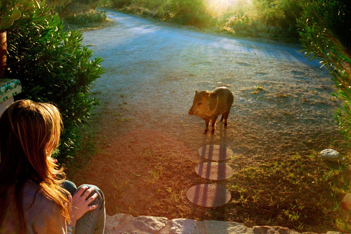 Linda McCartney exhibit, CCP, Tucson (LE)