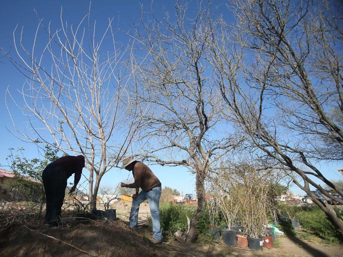 San Xavier Farm Co-Op