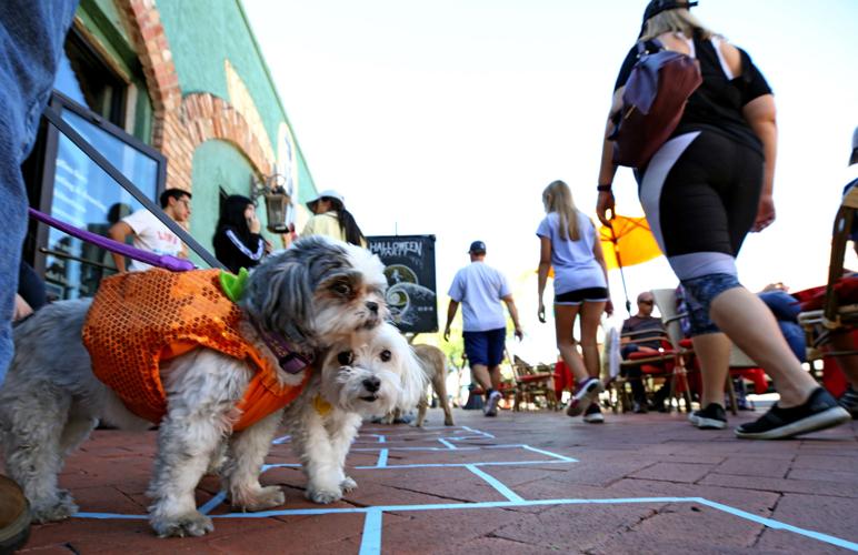 Second Annual Doggie Costume and Parade