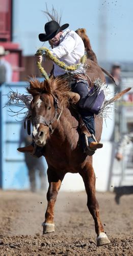 Tucson Rodeo Saturday