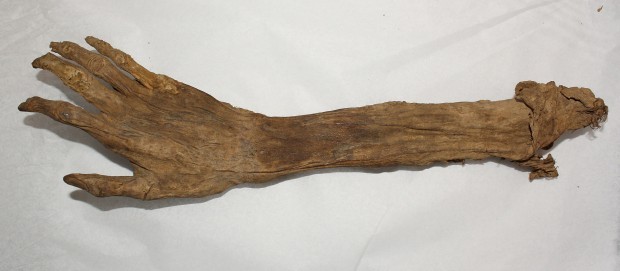 Civil War Arm