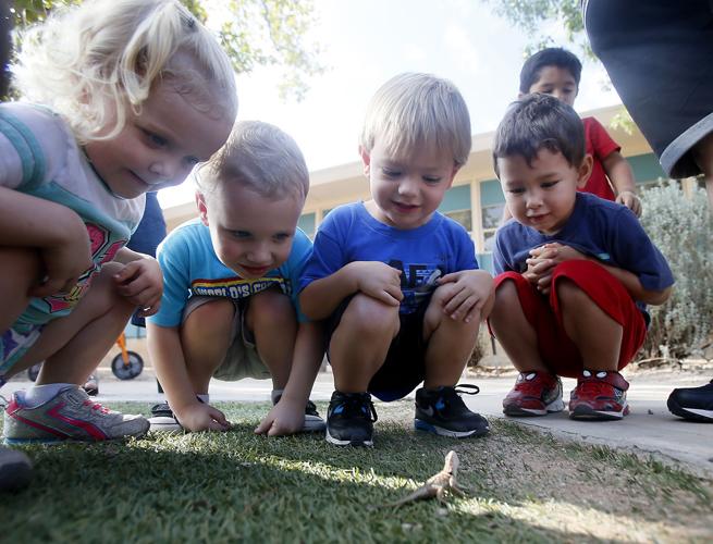 Infant and Early Learning Center at Brichta