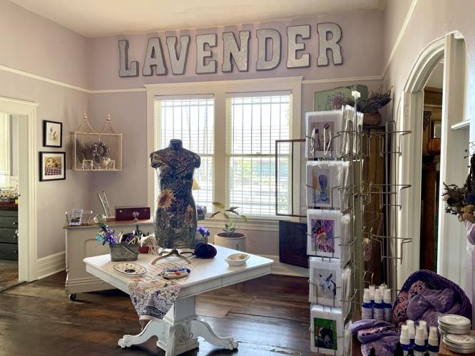 Lavender Manor