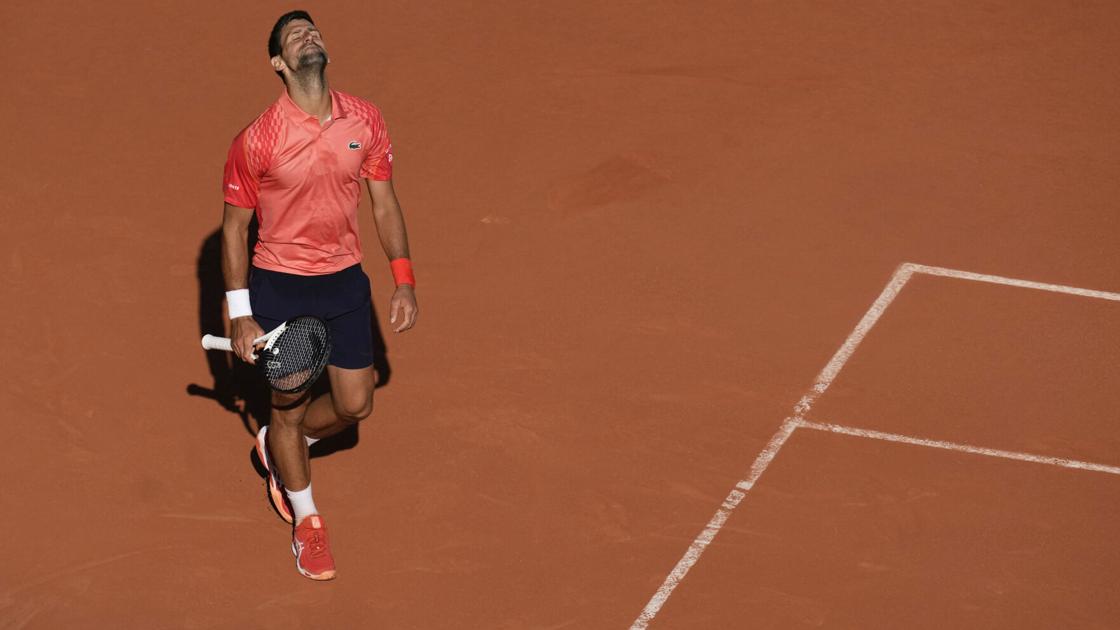 Djokovic laments fans after French Open victory