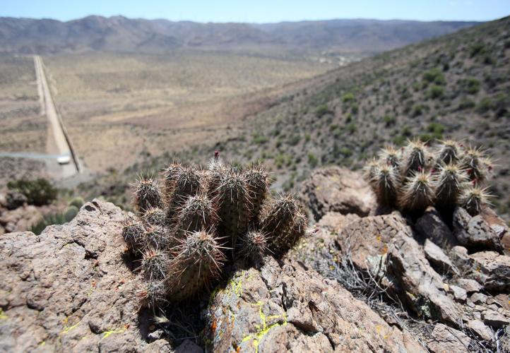 2016 Border Project: California