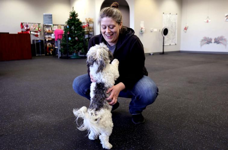 Dogs can run around off leash rain or shine at Tucson park tucson