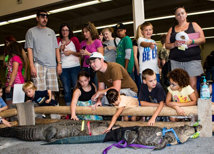 On a scale of one to 10 this Tucson reptile show is tops | Subscriber