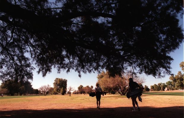 15 firms rush in to run city golf