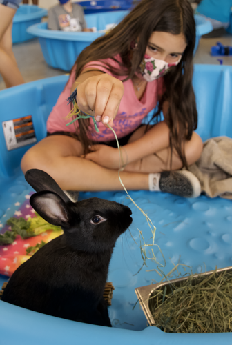 Hand in Paw Kids Club