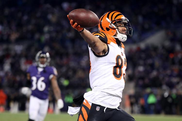Cincinnati Bengals v Baltimore Ravens