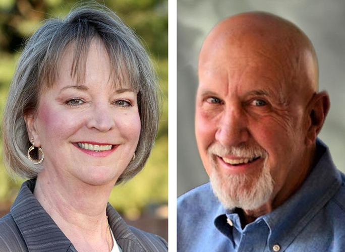 2020 Elections: Pima County Treasurer