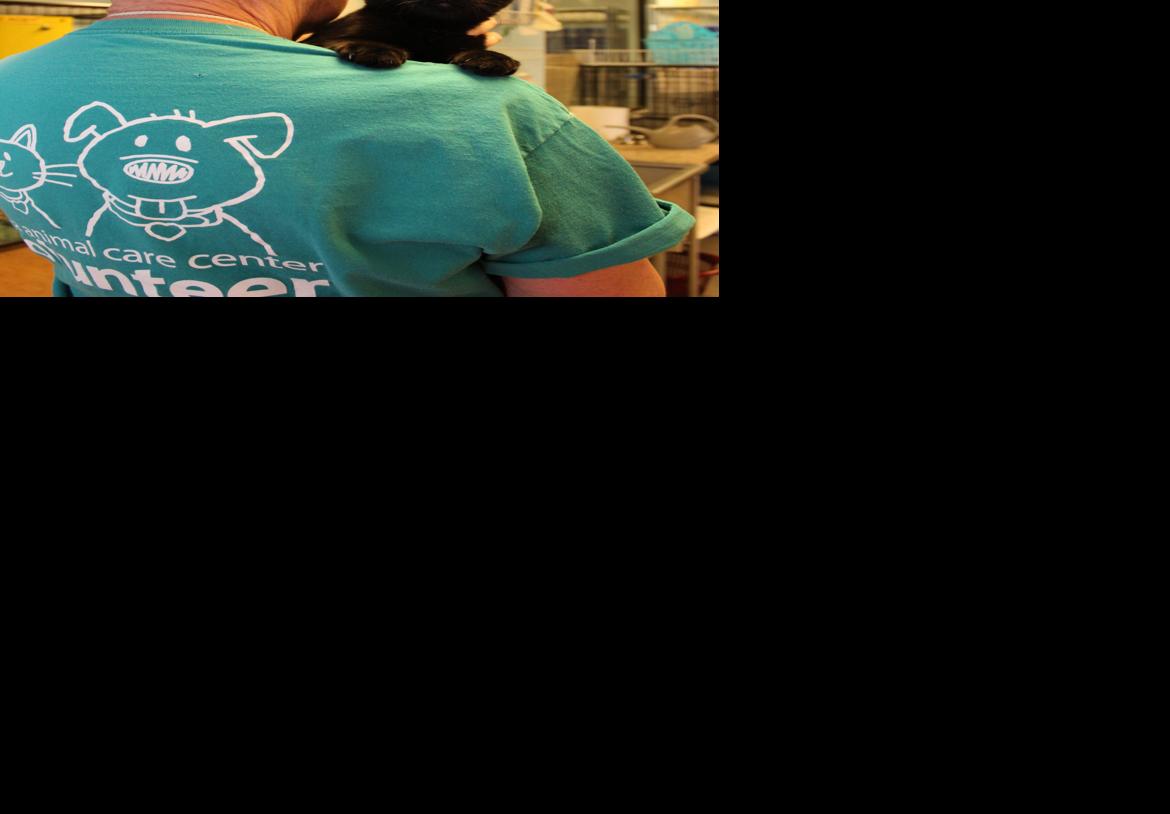 Toph with a volunteer at Pima Animal Care Center