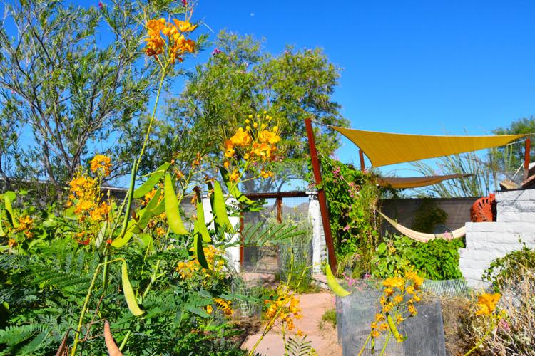 2023 Master Gardener Home Garden Show MM