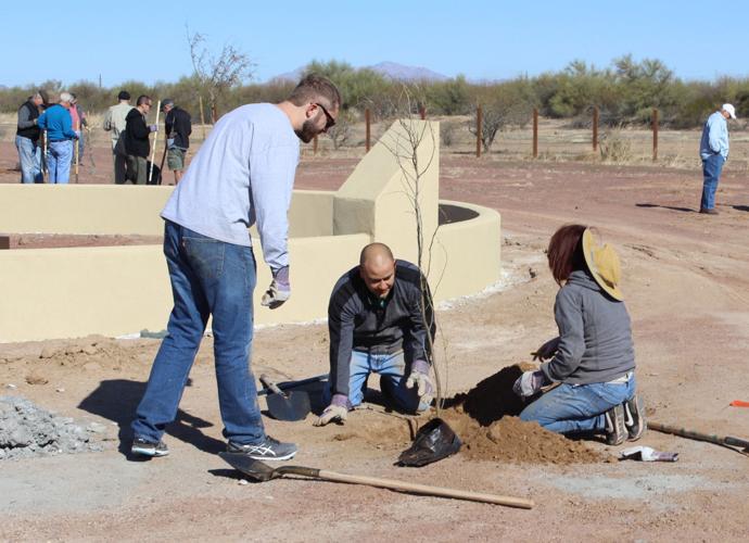 Marana cemetery tree plantings