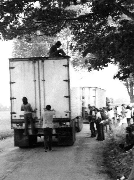Woodstock