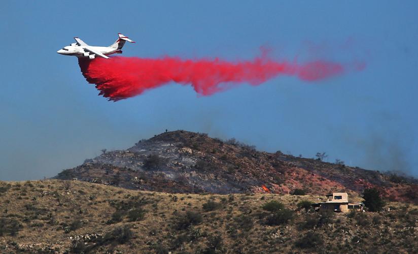 Mulberry Fire