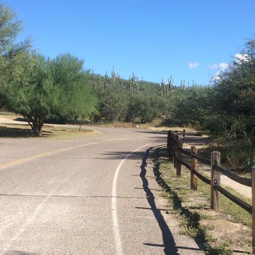 Catalina State Park: To the trailhead