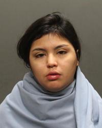 Driver arrested in connection with fatal cyclist crash on "A" Mountain had BAC of 0.400