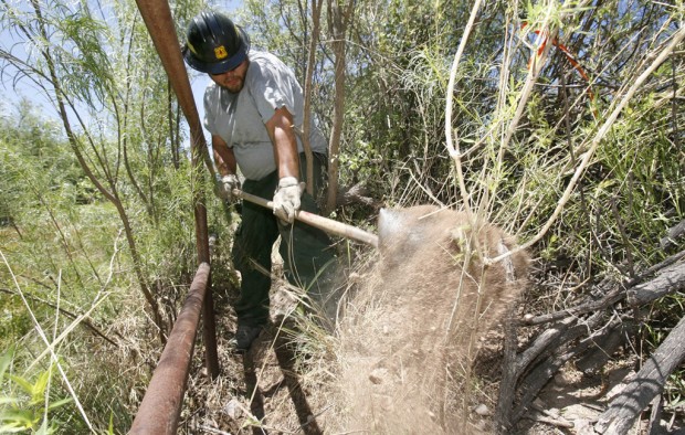 Forest Service hiring 1,000 temp workers in Ariz., N.M.