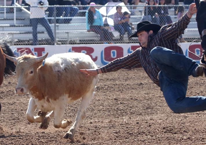 Tucson Rodeo action