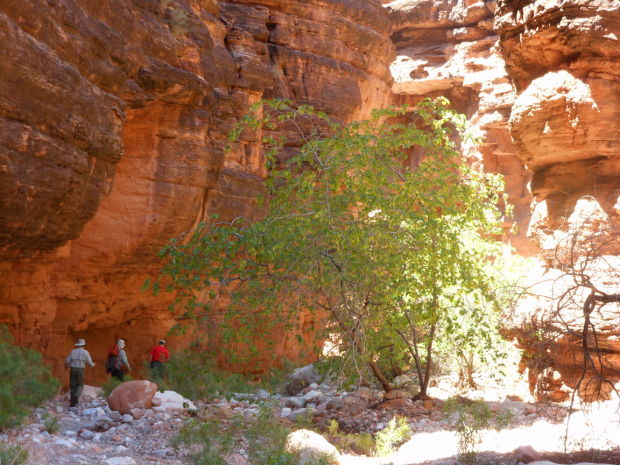 Hikers